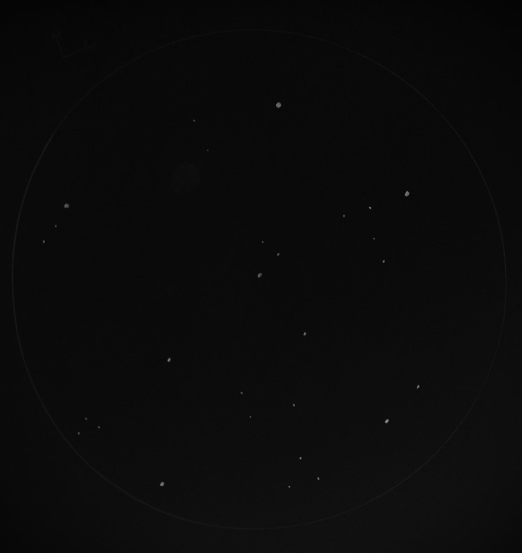 ../projects/deep-sky-with-binoculars/uwe-brinker/sketches/NGC7293.jpg